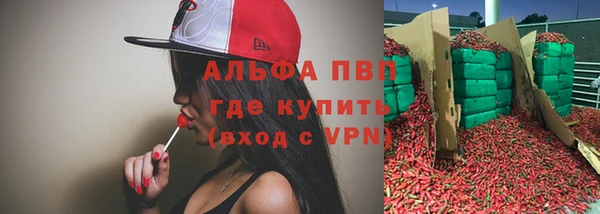 a pvp Аркадак